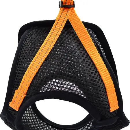 Купить zooexpress fresh line шлейка жилет для собак, апельсиновая